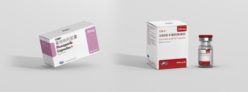 2條圖1-1.jpg 2條圖1-1.jpg