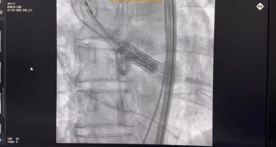 from clipboard from clipboard