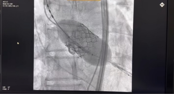 from clipboard from clipboard